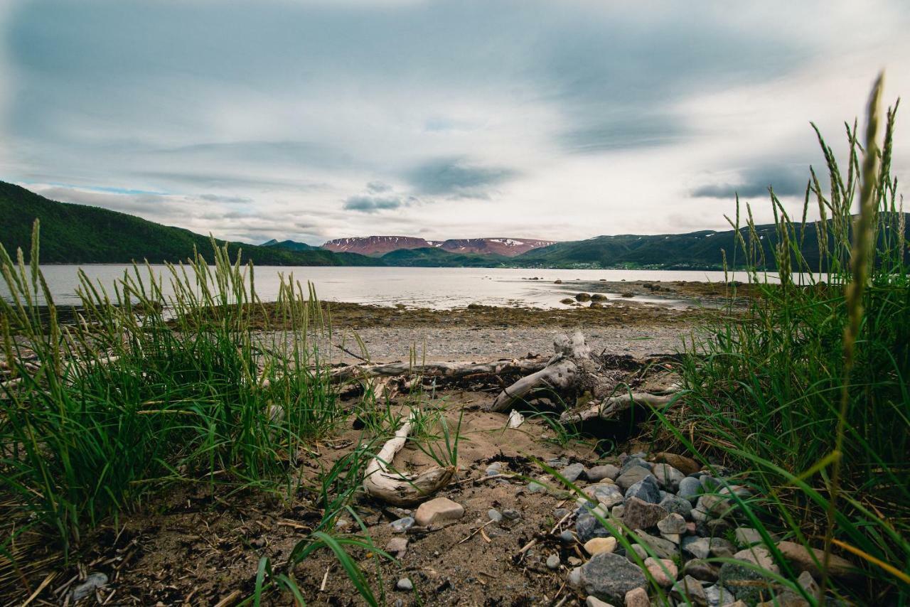 Out East B&B Norris Point Exteriér fotografie